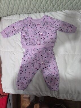 Granimals Purple Sweatsuit Set. 6-9 mos.